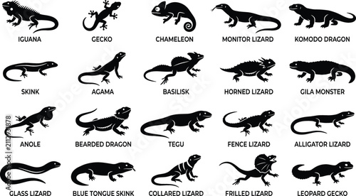 Bild auf Leinwand Lizard and Reptile Silhouette Icon Set with Iguana Gecko Chameleon Monitor Lizar