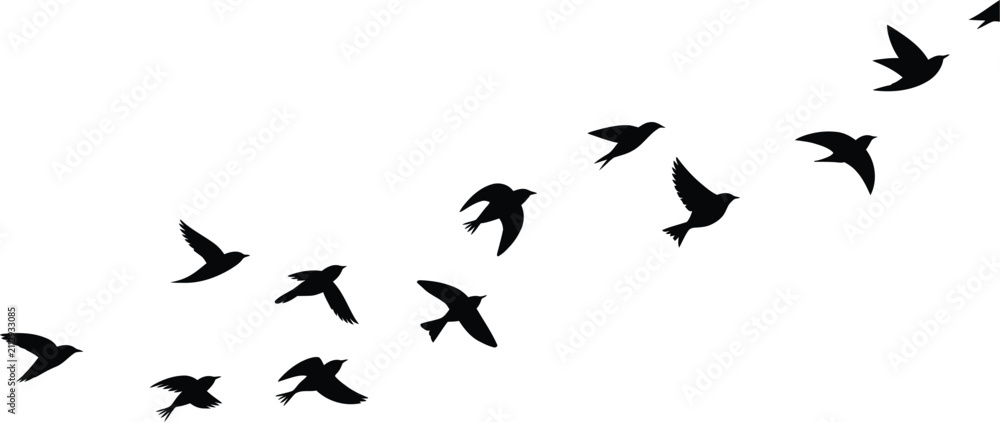 Fototapeta premium Birds in flight vector illustration featuring graceful wings, dynamic movement, freedom, and elegant natural wildlife
