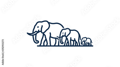 Photography Family of elephants walking together slowly.