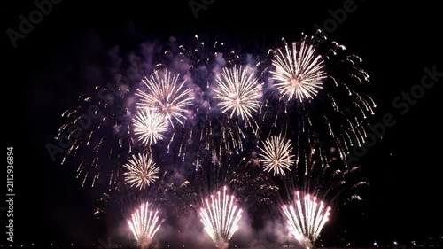 Brilliant fireworks bloom in the night sky, brilliant fireworks bloom in the night sky