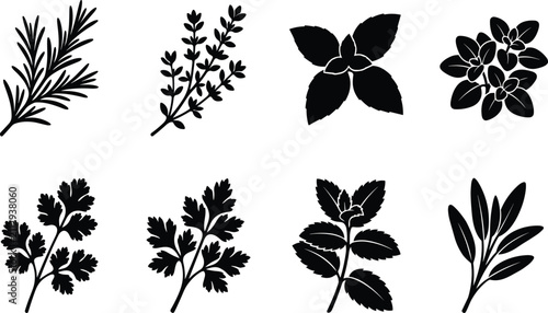 фотографія Collection of culinary herb silhouettes featuring rosemary thyme mint parsley or