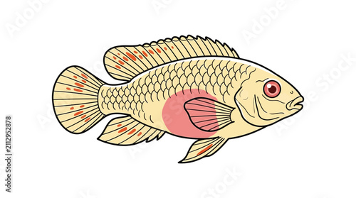 Foto Colored jewel cichlid fish illustration.