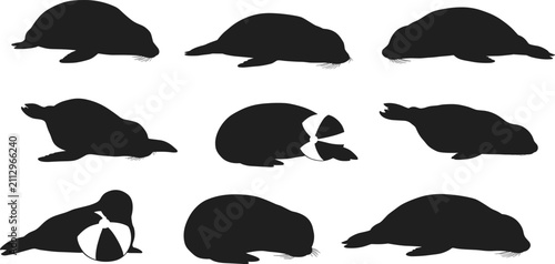 Konstfotografi Collection of adorable seal silhouettes in various poses, playful marine animal
