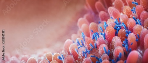 Intestinal villi with bacteria in microscopic close up
