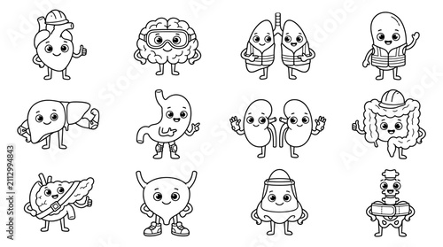 set of cute human organ characters with happy faces in outline style, anatomy educational icons for medical school, biology posters, health awareness