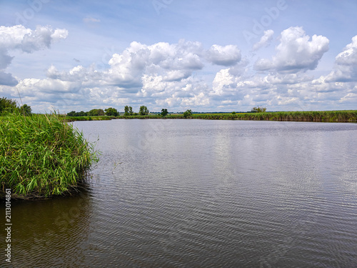 Calm Lake Landscape with Reed Grass and Dramatic Cumulus Clouds under a Summer Sky in Rural Ukraine