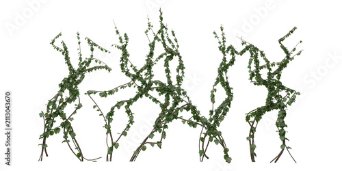 Realistic 3D Dense Ivy Vine Creeper Plant with Thick Green Foliage Branches — Natural Botanical Game Asset Illustration on Transparent Background