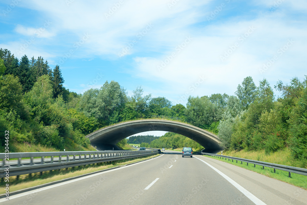 Fototapeta premium Wooded bridge over the motorway as a protected crossing for wildlife.