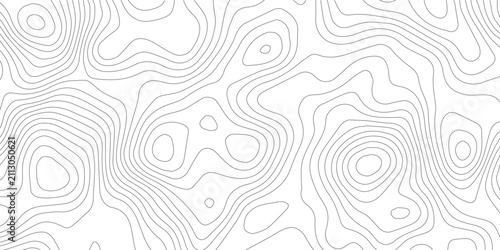 Картината върху платно Graphic black and white topography contour line texture with topography abstract