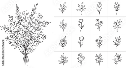 Hand drawn floral bouquet and individual botanical elements collection in black ink sketch style for design