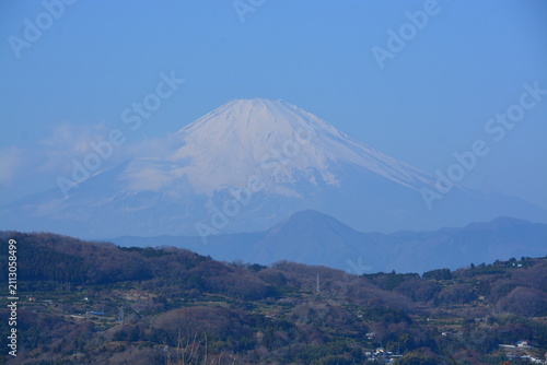 Obraz na płótnie 神奈川県 二宮町の吾妻山公園（花と富士山の景観）