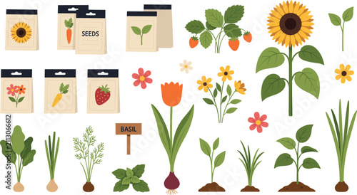 Bild auf Leinwand Garden Botany Icon Set with Flower Seeds Sunflower Tulip Strawberries Sprouts an