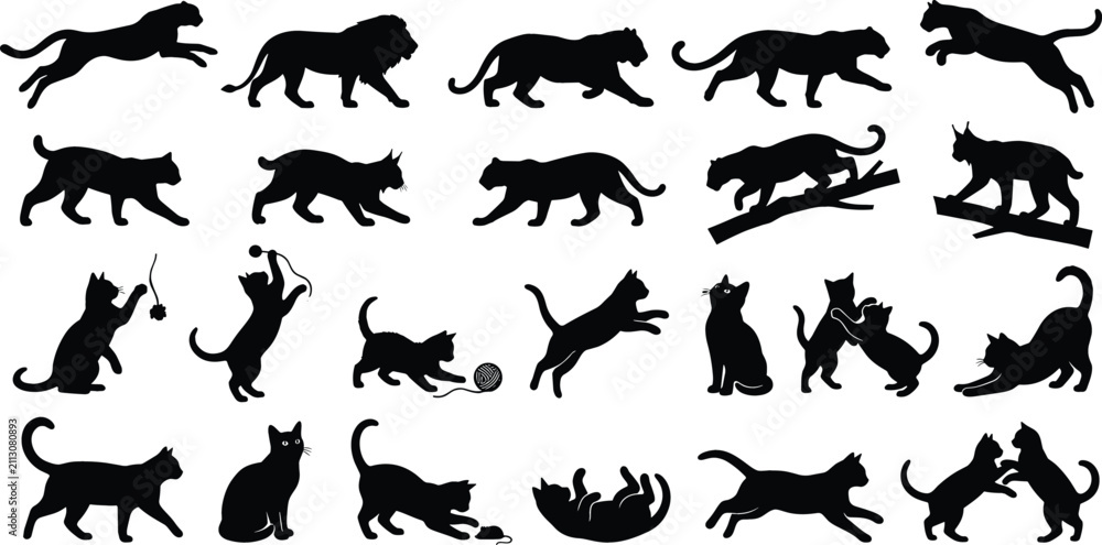 Fototapeta premium Wild Big Cat and Domestic Kitten Silhouette Icon Set Featuring Lion Cheetah Panther Cougar Lynx and Playful Cat Poses for Graphic Designs