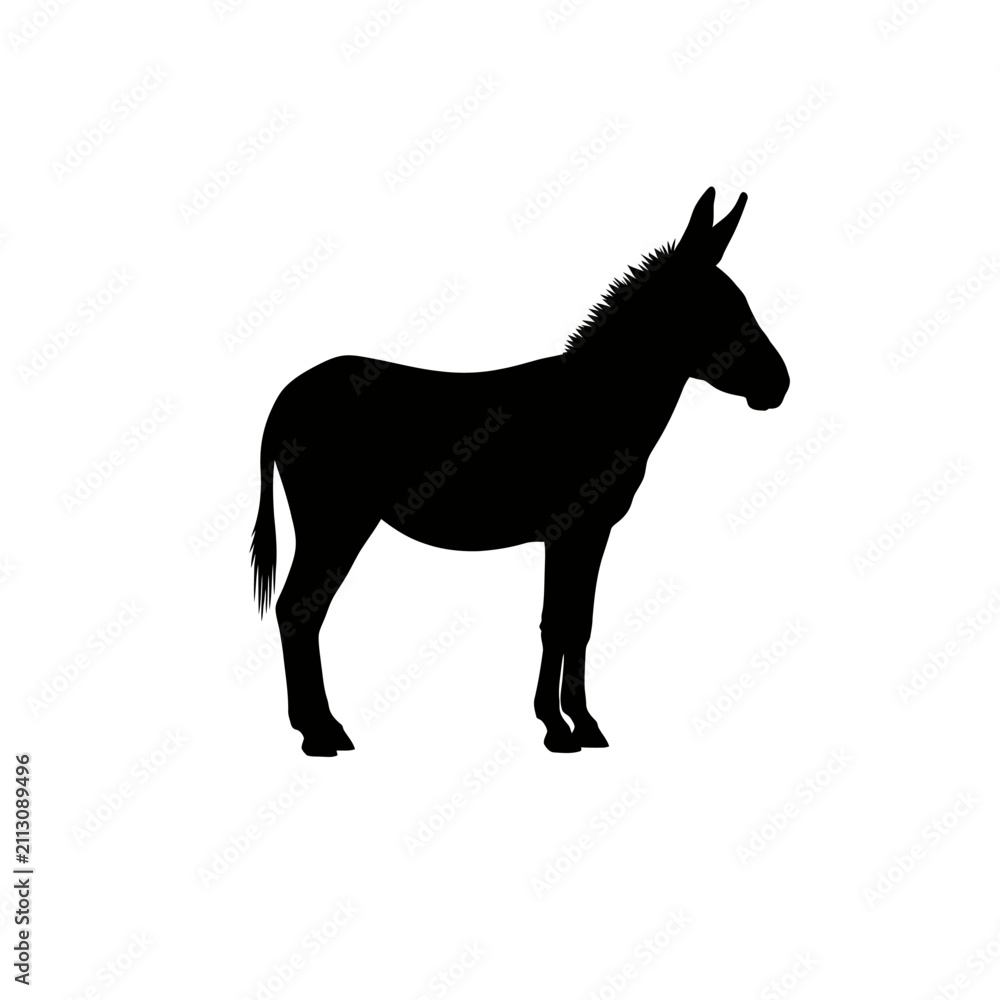 Fototapeta premium Black Silhouette of a Standing Donkey