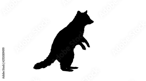 Black Silhouette of a Standing Raccoon on White Background