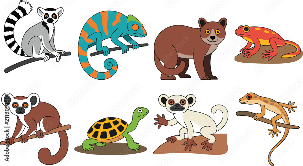 Obraz premium Madagascar wildlife cartoon vector set including ring tailed lemur chameleon fossa frog tortoise sifaka gecko isolated white background
