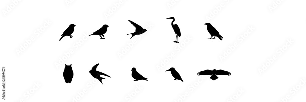 Obraz premium Birds in Various Poses as Black Silhouettes on a White Background Featuring Nature, Wildlife, Animals with Flying and Perched