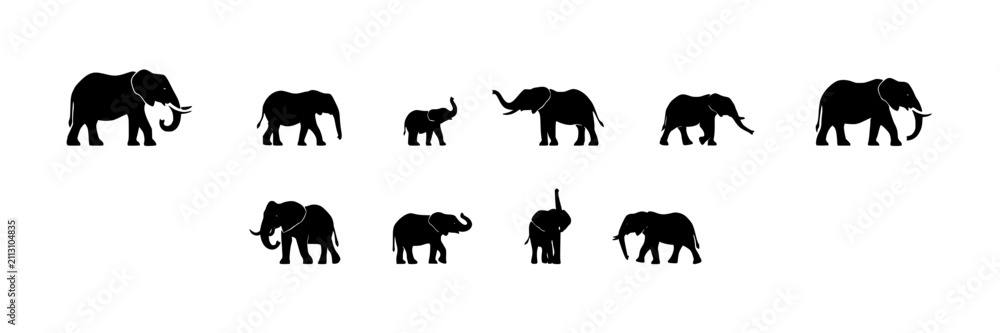 Fototapeta premium Elephants in Various Poses as Black Silhouettes Featuring Elephant, Silhouette, Animal with Wildlife and Nature Elements