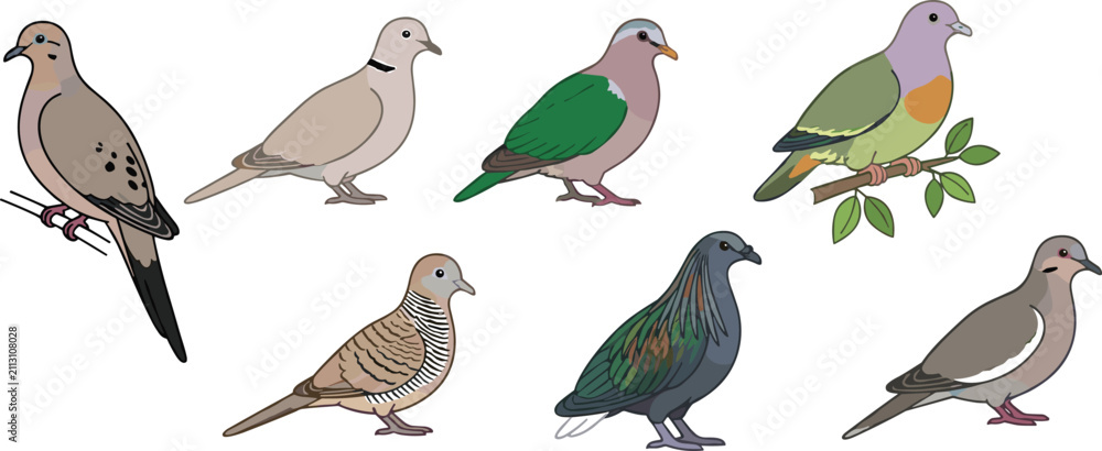 Obraz premium Doves with Colorful Plumage Perched on Branches and Ground Featuring Dove, Bird, Branch with Nature