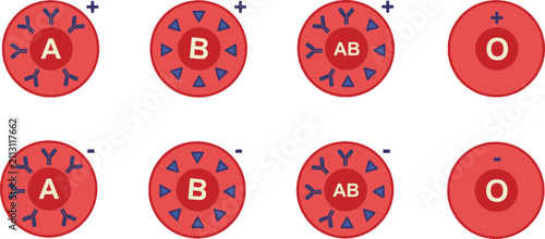 Foto Human Blood Type Chart Vector Set ABO System Rh Positive and Negative Red Blood