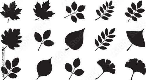 Fifteen black silhouette of various leaf types arranged in three rows on a white background