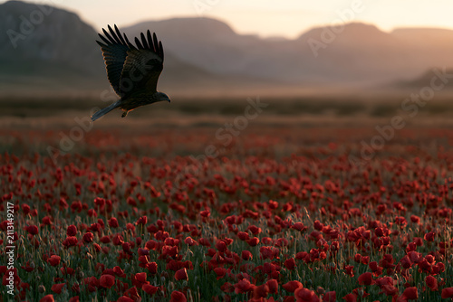 A majestic black bird soars over a vibrant field of red poppies at sunset, with distant mountains under a warm sky.
