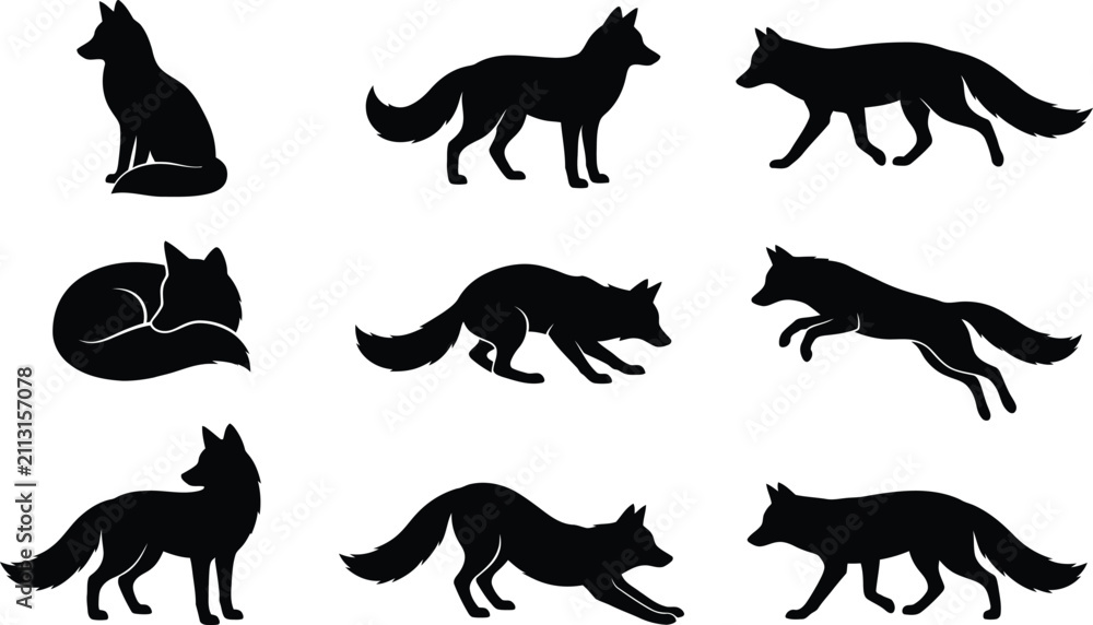 Obraz premium A collection of black fox silhouettes in various poses including sitting walking running and sleeping presented as a high quality vector illustration set