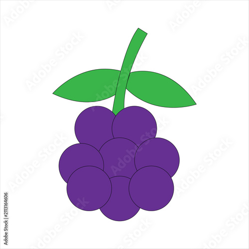 WebFresh Purple Grapes Vector Illustration