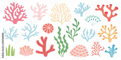 Coral reef illustration collection vibrant vector graphics on white background