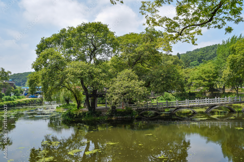 Fototapeta premium 경상남도 함안군 무진정 연못, Mujinjeong Pond, Haman-gun, Gyeongsang-namdo 