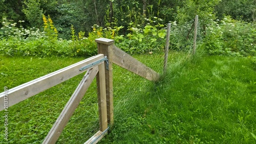 Wooden gate leaning on a fence in a green garden area