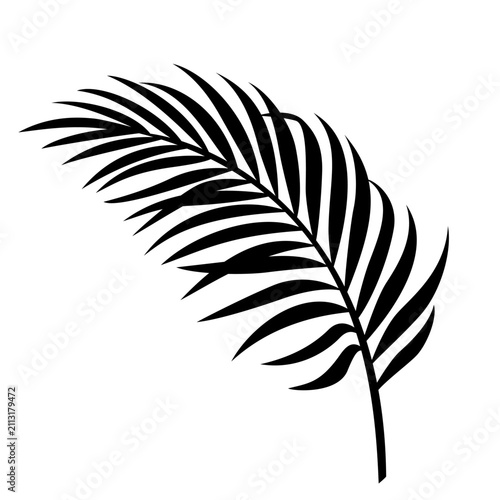 Tropical Palm Frond Silhouette Vector Icon