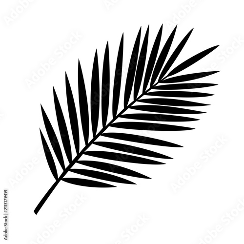 Tropical Palm Frond Silhouette Vector Icon