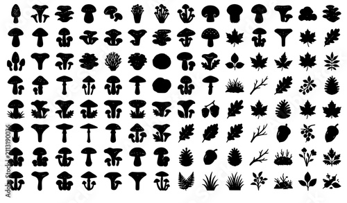 Fotografía Edible and Wild Mushroom Silhouette Icon Set Morel Chanterelle Oyster Porcini En