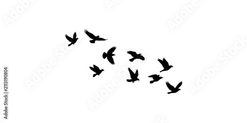 Fotografie A beautiful flock of birds flying in formation illustrated as a set of black sil