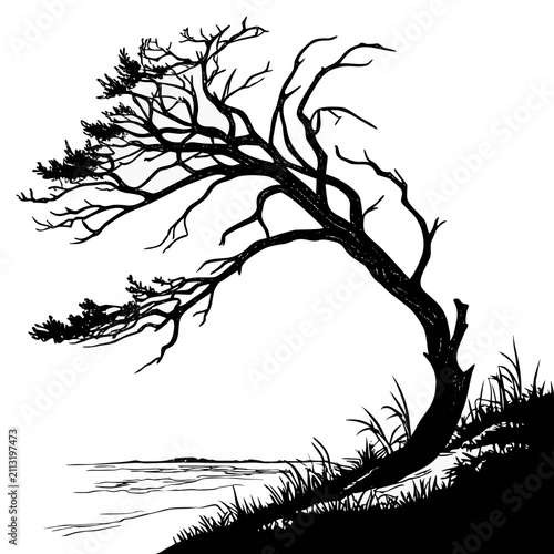 Obraz na płótnie Silhouette illustration of a windswept pine tree growing on a rocky cliff shore
