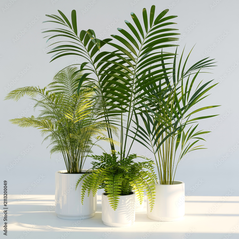 Fototapeta premium Tropical houseplants in modern pots with soft natural light for interior design concepts