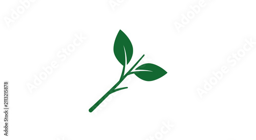 A simple green leaf icon isolated on a clean white background
