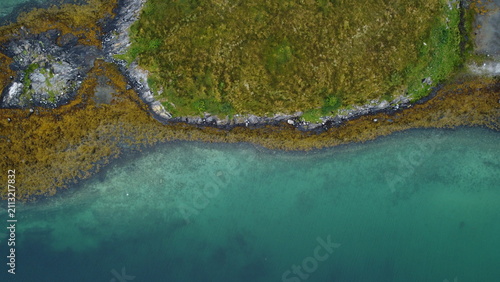 Coastline view of green water and rocky shore with sea plants