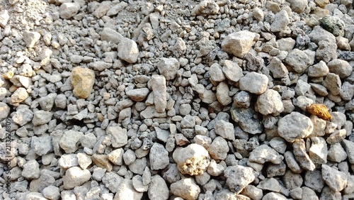 Close-up of gravel and small stones on rocky ground. Textured natural surface for landscaping or construction projects.