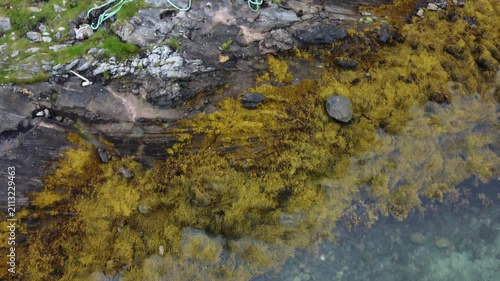 Clear water meets rocky shore in a coastal location
