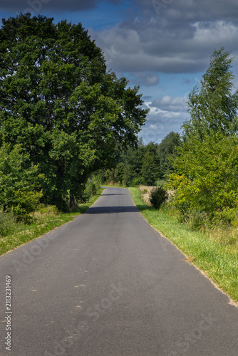 The Iława Lake District: the road to the village of Matyty bathed in summer sunlight.