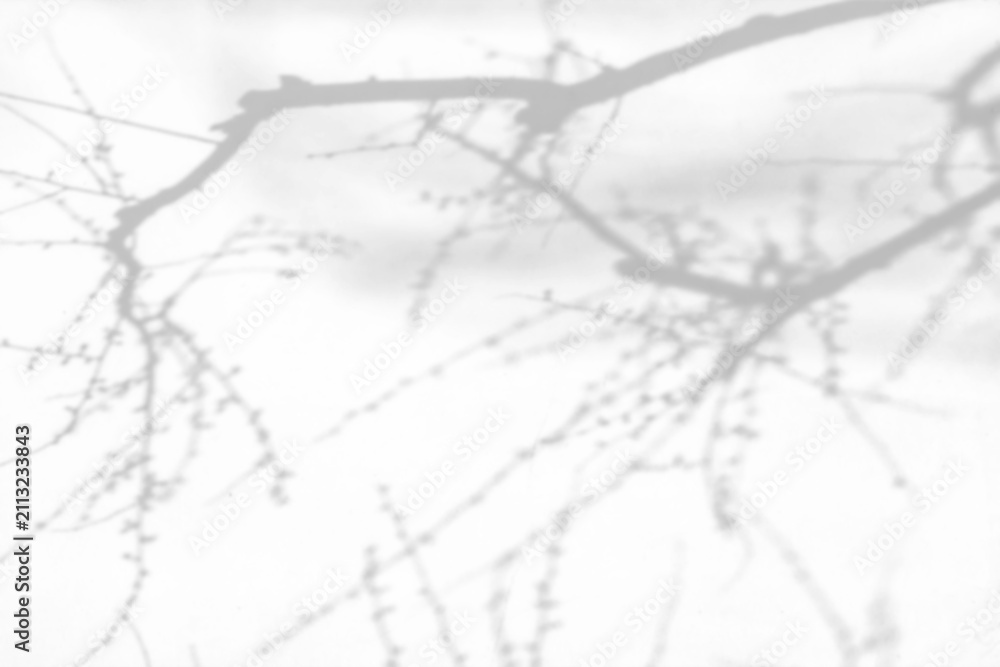 Fototapeta premium Natural Plant Shadow Overlay