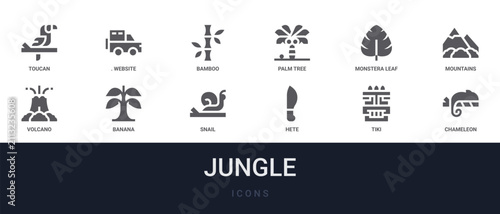 Set of 12 solid Jungle icons for dashboards, app screens and website sections. Filled glyph collection including. for website design and mobile, app development, print. from jungle collection