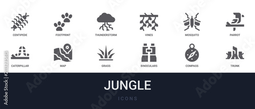 Set of 12 solid Jungle icons for dashboards, app screens and website sections. Filled glyph collection including footprint, vines, parrot, map and grass.