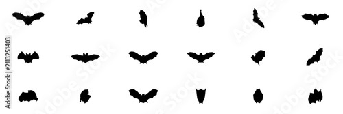 Bats in Various Silhouettes Arranged in Rows on a White Background Featuring Bat, Silhouette, Black with Animal and Wing Elements