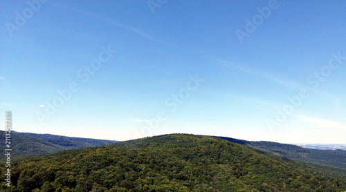 Foto wide panorama of lush green deciduous summer forest on gentle hill top