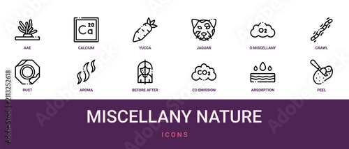 Bild auf Leinwand Set of 12 outline web Miscellany Nature icons such as peel, absorption, co emiss