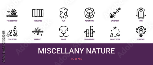 Fotografía Set of 12 outline web Miscellany Nature icons such as phoenix, ecosystem, sugar
