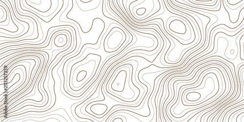 Abstract topographic map lines design for creative projects and geographic analysis